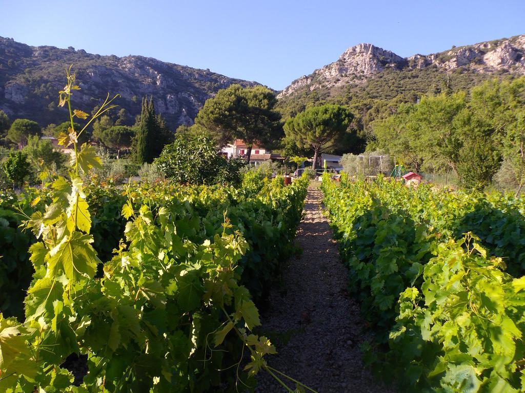 Au Havre De Paix Sainte Victoire Vauvenargues Hotell Eksteriør bilde
