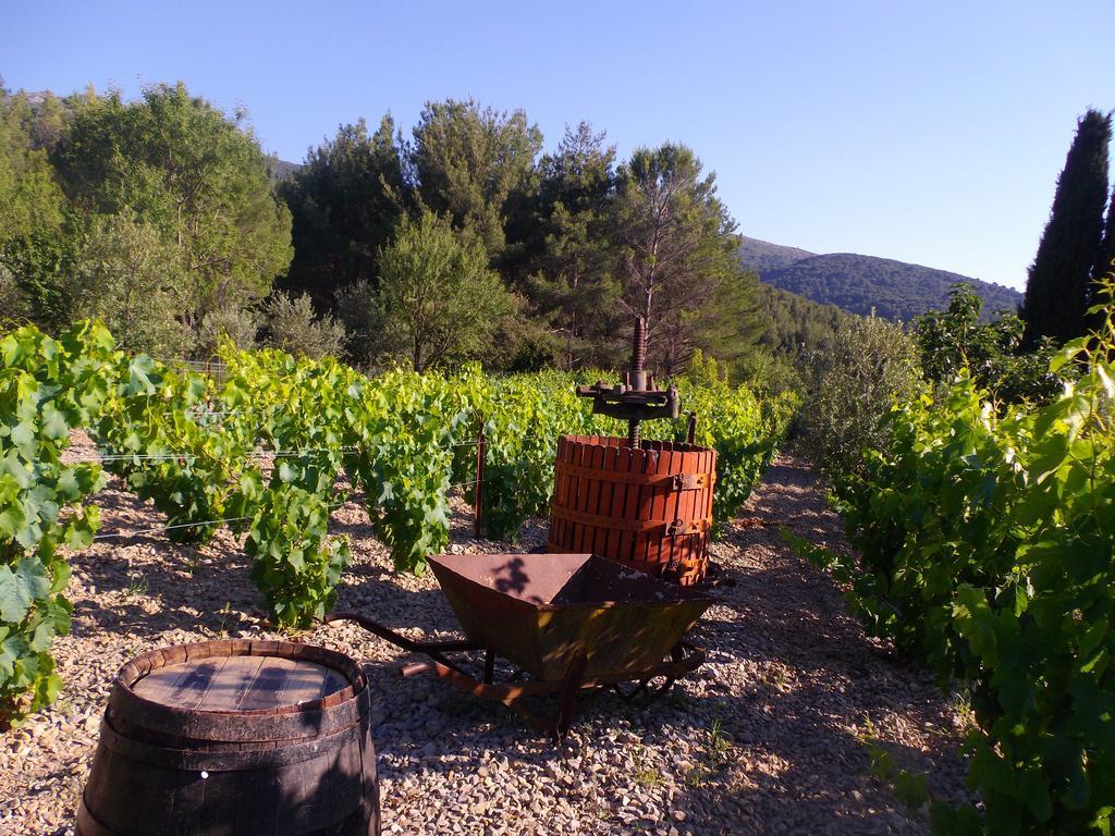 Au Havre De Paix Sainte Victoire Vauvenargues Hotell Eksteriør bilde